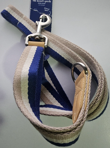 YOULY Blue & Tan Stripe Dog Leash, 6 ft.