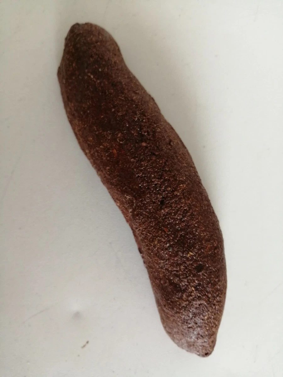 Fake Dog Poo, long. TurdCrap.Great for playing tricks on friends or  neighbours. | eBay