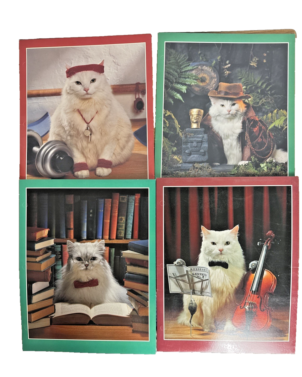Vintage Cat Folders Lot Unused 1993 NOS Funny Animal School