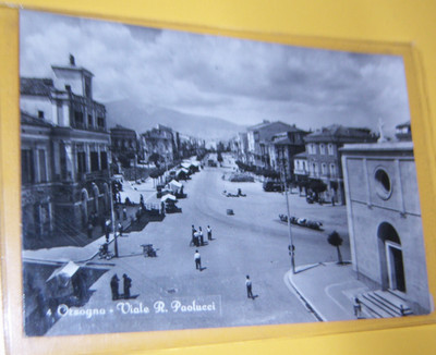 ANTIQUE POSTCARD BEAR VIALE PAOLUCCI TRAVEL 1956