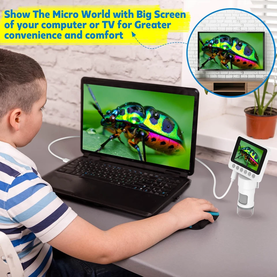 Microscope Portable USCAMLE 1000X pour Enfants - Mini Microscope Numérique de... - Photo 4/4