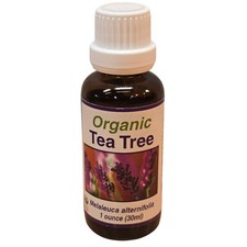 30 ml Tea Tree Essential Oil Melaleuca alternifolia Veriditas Botanicals Organic