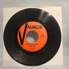 Cathy Jean & Roommates - Please Love Me Forever / Canadian Sunset 45 RPM Record