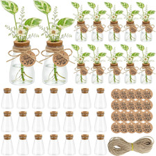 30PCS Plant Propagation Stations 3.35'' Plastic Propagation Jars Clear Vase