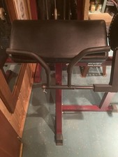 Scott Curl Bank Bizeps Und Tripzeps Massiv