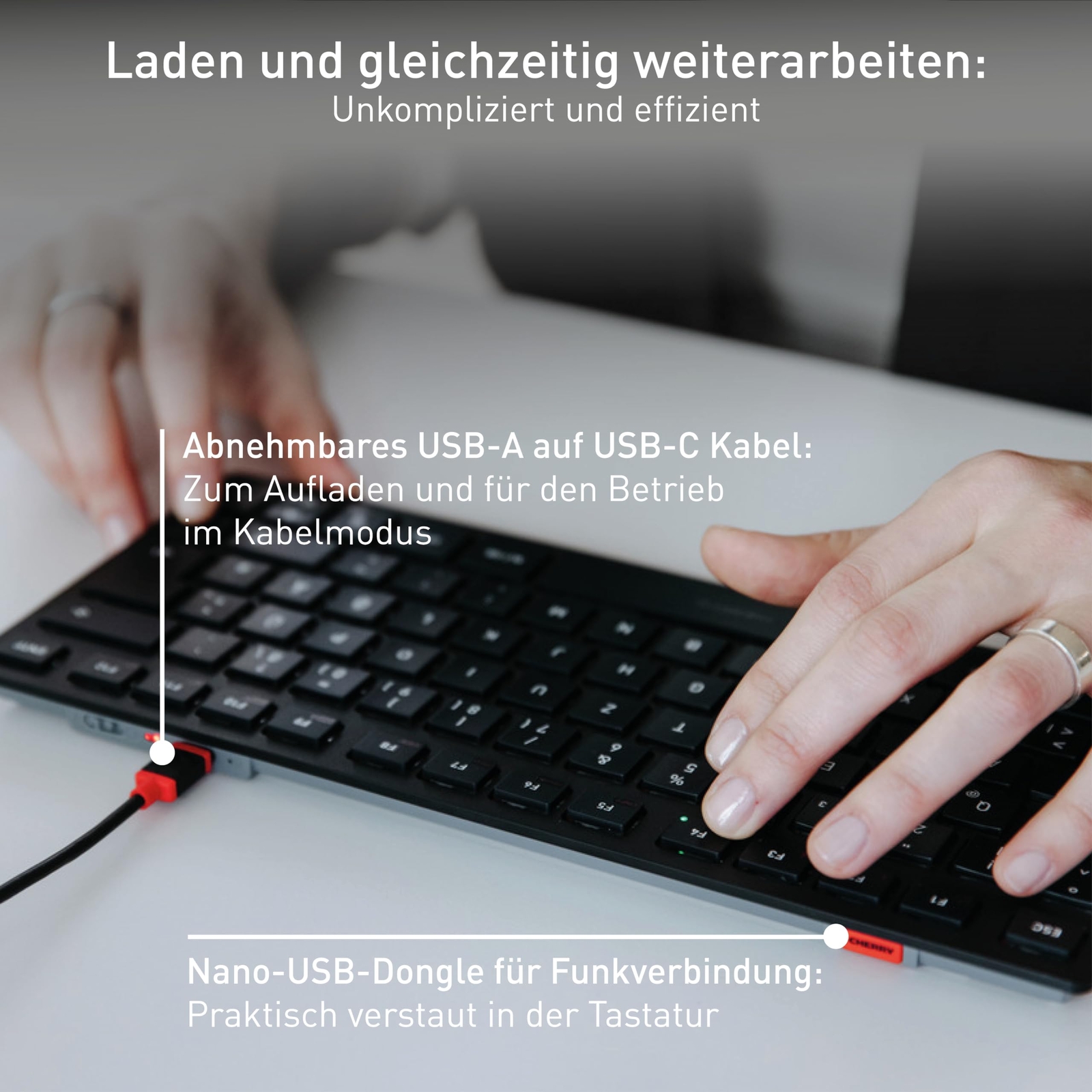 Bild 3 von 6