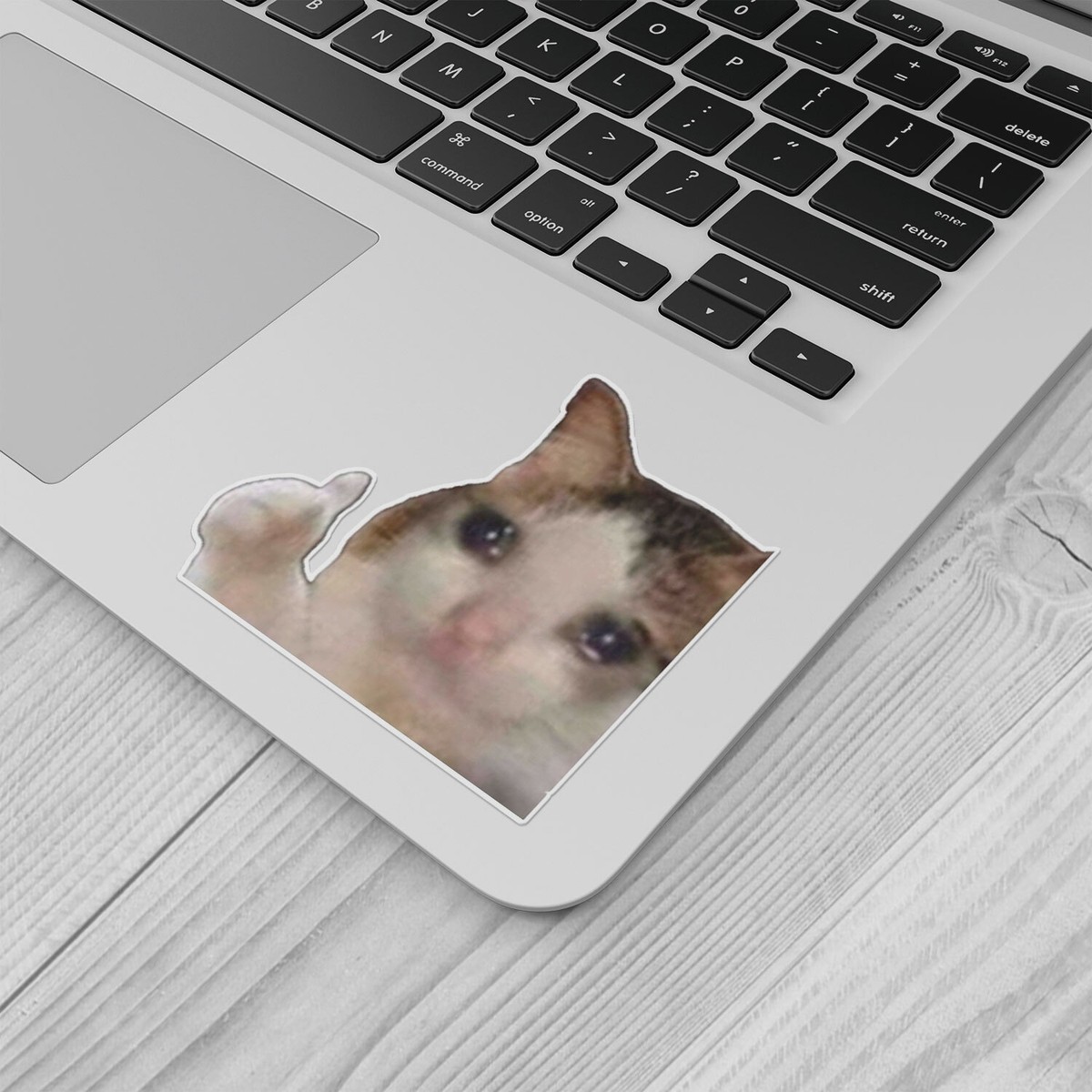 Sad Cat Meme Vinyl Car Bumper Decal | eBay