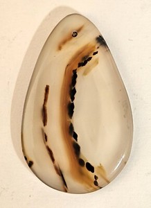 Montana Agate Cabochon
