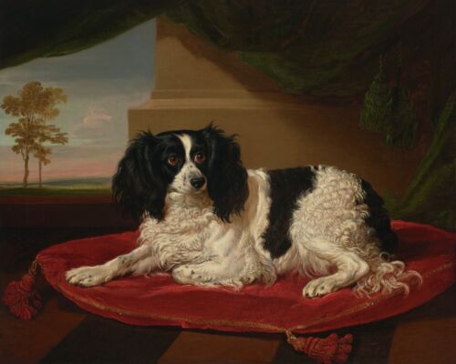 1800s King Charles Spaniel Dog Painting Giclee Print on Fine Art Paper