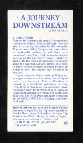 Dipper--1990 Brooke Bond British Tea Card - Picture 2 of 2