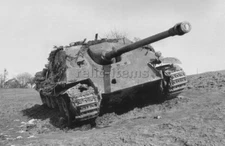 WW2 PICTURE PHOTO GERMAN TANK PANTHER ON THE FIELD 6649