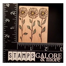 Hero Arts Rubber Stamps E2243 THREE DAISIES GARDEN FLOWERS 3253