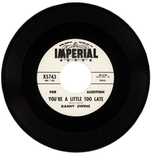 DANNY OWENS  "YOU'RE A LITTLE TOO LATE"    MONSTER R&B CLASSIC       - Afbeelding 1 van 1