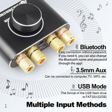 Mini Bluetooth Power Amplifier, Stereo Digital Amp 2.0 No Remote or Power Supply