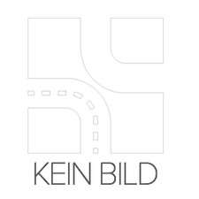 LRT Katalysator Kat für RENAULT LAGUNA II Grandtour (KG0/1) 7625N