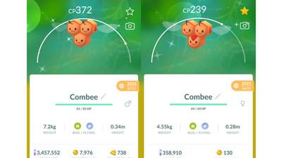  Shiny Combee (Schillernd Wadribie) Pokemon GO  Exchange or PTC