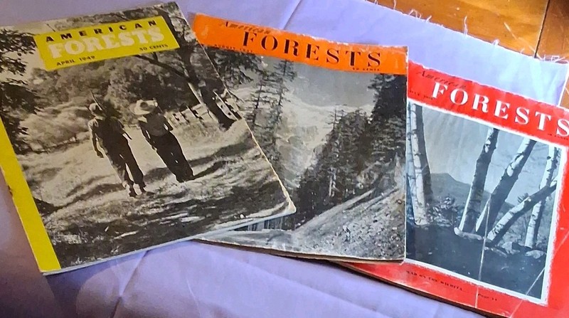 ​Vintage American Forests Magazine Lot of 3  1949 1951 1956 Forestry History