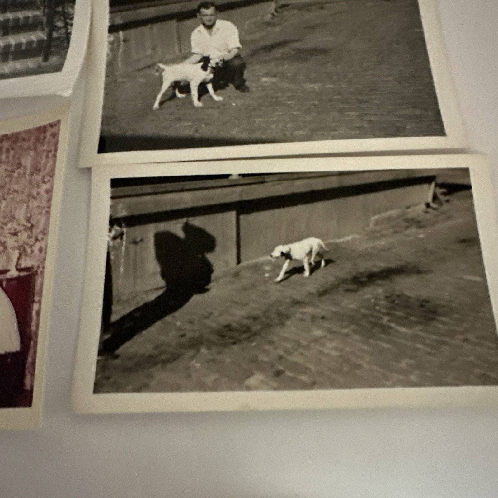 Picture 7 of 9