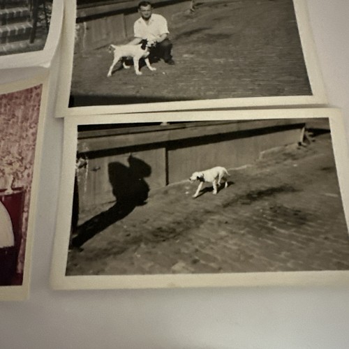 Vintage Photo Lot X 14 People With Dog Animal Pet 1910s - 1960s Photograph - Picture 7 of 9
