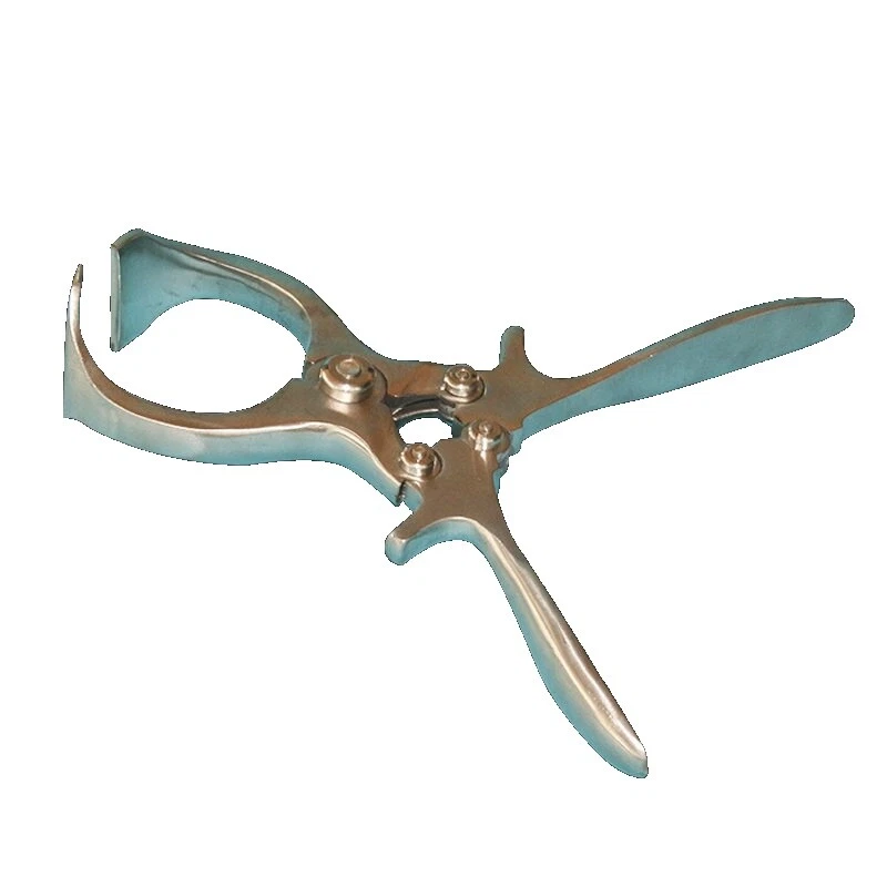 Faisán Patio bebedores de aves de corral