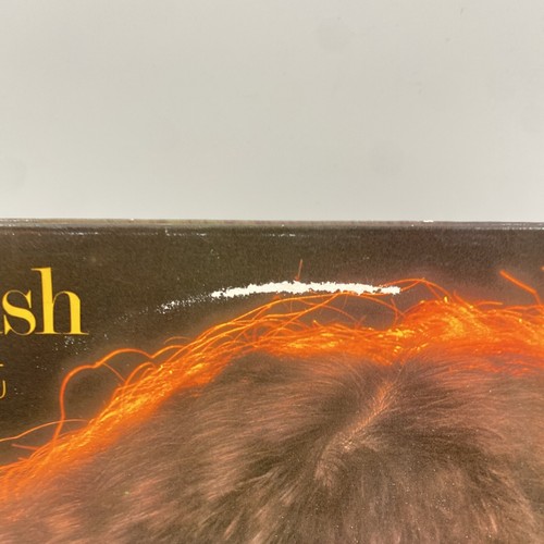 Kate Bush Lionheart FAME Vinyl LP Album 1988 Reissue EX/VG - Picture 5 of 11