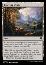 Evolving Wilds NM MTG Bloomburrow BLB BLC Magic