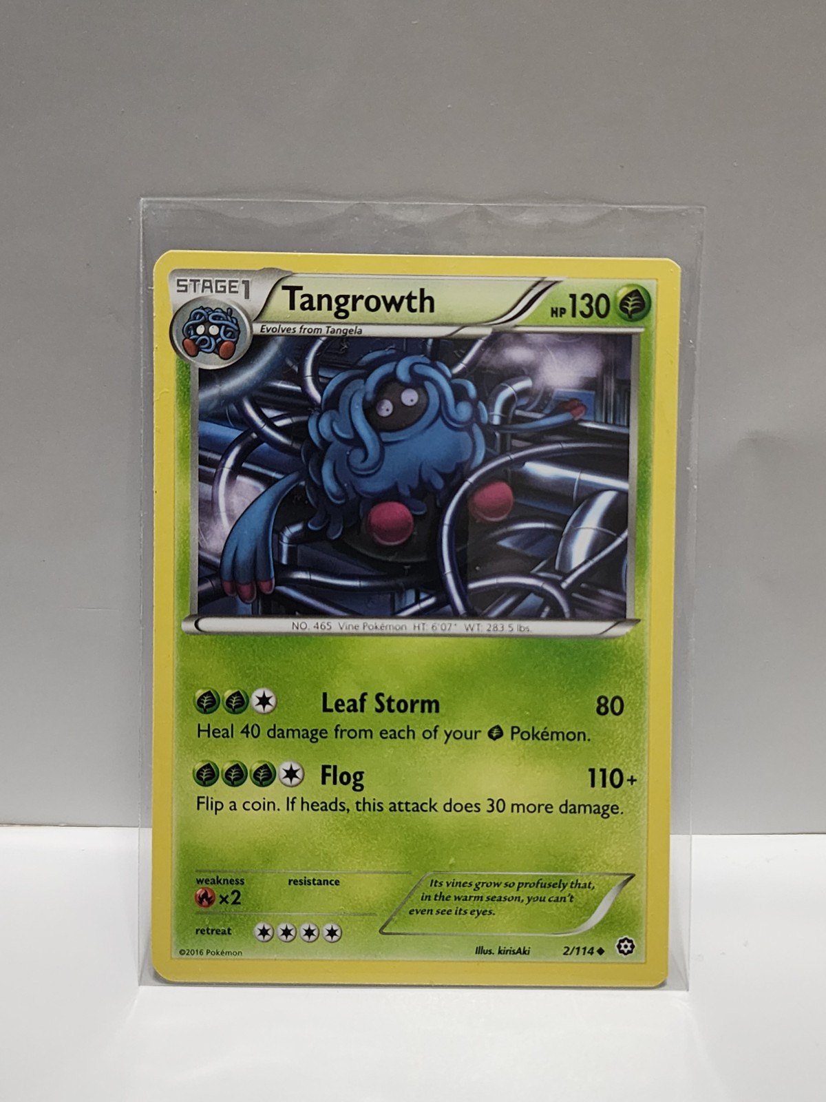 Tangrowth 2/114 XY-Steam Siege Regular Pokemon TCG Card [ENG]* 