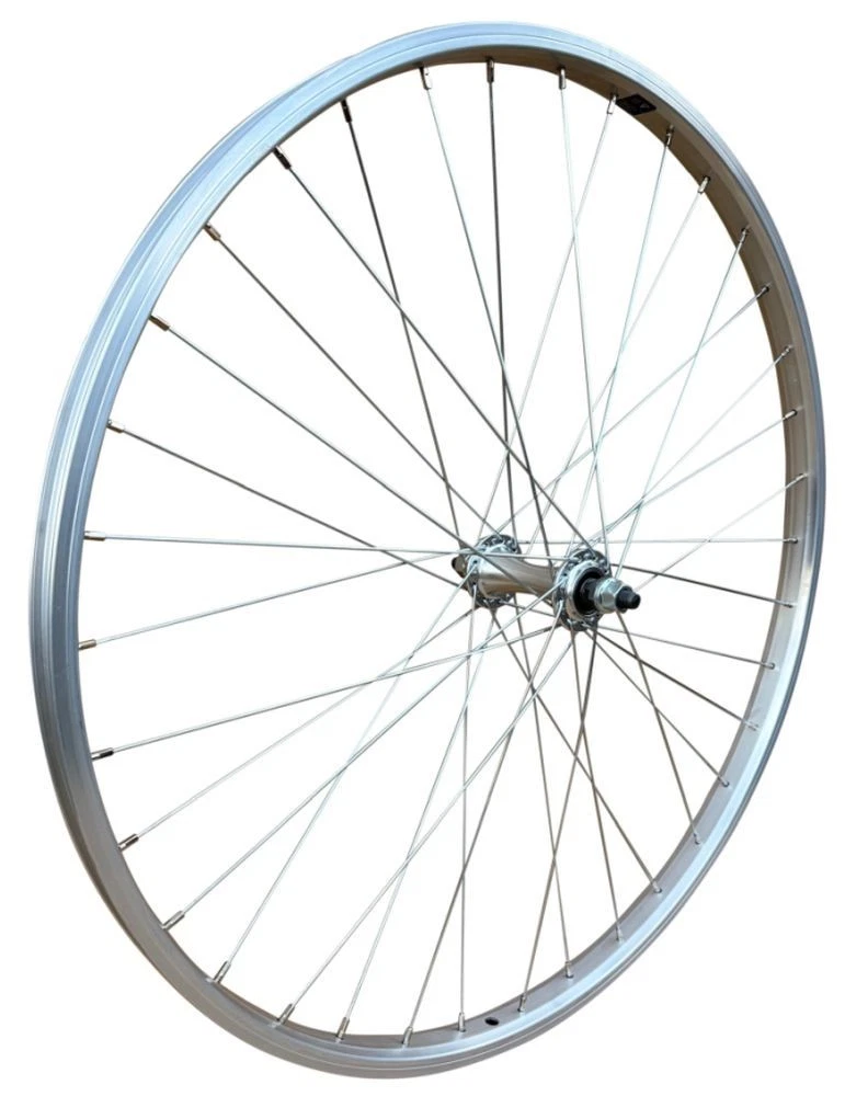 Raggi in acciaio inossidabile SAPIM Leader 2,3mm