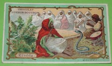 CHROMO 1905-1910 CHOCOLAT GUERIN-BOUTRON FLEURS AFRIQUE SOUDAN RESEDA