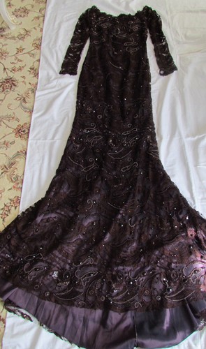 EMILIO PUCCI Runway Full in Lace,Embellished Long dress It 40,US 4-6,UK 8,XS-S - Picture 9 of 12