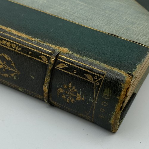 Twelve Great Actors - Edward Robins, G.P. Putnams Sons, 1900, Hardcover - Picture 3 of 8