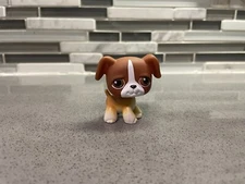 BOXER DOG #25 - Authentic Littlest Pet Shop - Hasbro LPS