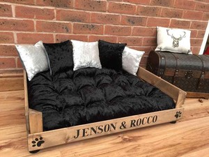 nature's harvest cat food