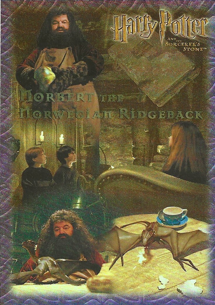 Picture 10 of 29