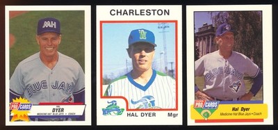 Pick Your Minor League Player Lot - Last Name Starts with D, Free Shipping (D9)