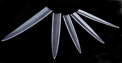 24 KLARE EXTRA LANGE SPITZE STILETTO FALSCHE NAGELTIPS SALON SPITZE NÄGEL