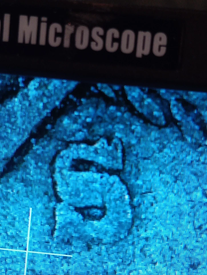 👉1875-S-over-S  Error Twenty Cent Piece Vg Choice  🇺🇸 - Image 4 of 4