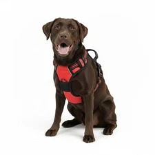 Gavpepy No Pull Dog Harness Reflective Soft Padded Vest - Large Red