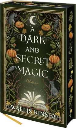 A Dark And Secret Magic | Kinney, Wallis | Gebunden | 9783462010114-image