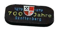 Seltene Zier-Kohle 700 Jahre Senftenberg 30 Jahre DDR 1979