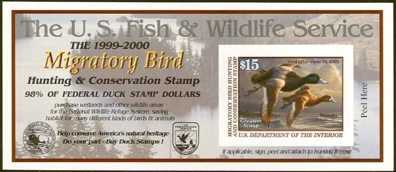 RW66A  1999 Greater Scaup $15 US Federal Duck Stamp Self Adhesive Pane MNH