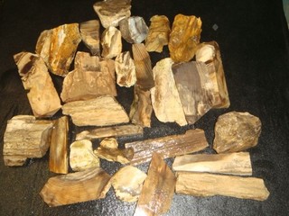SMALL OLD MIXED PETRIFIED WOOD ROUGH SPECIMENS 10 3/4 POUNDS