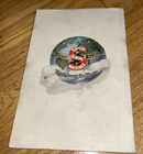 Bild 11 von 13