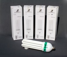 Photo Video Daylight White 105W Fluorescent Light Bulb Set of Four CFL