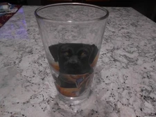 Black Lab And Mallard Hunting Beer Glass 16oz.