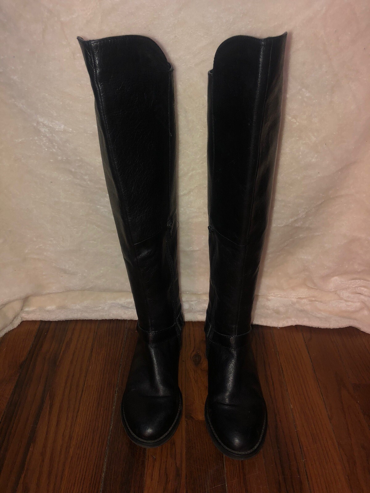 steve madden candence