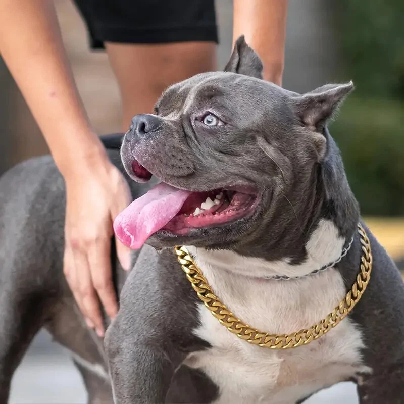 Collar de moda cadena cubana Miami chapado en oro para mascotas perros gatos 10 mm 16" ~ 24" Foto 2 de 4