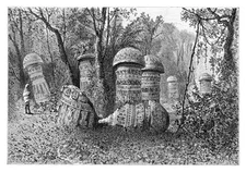 Ruins of an Ahom temple Dinajpur Upper Assam India 1895 From The U- Old Photo