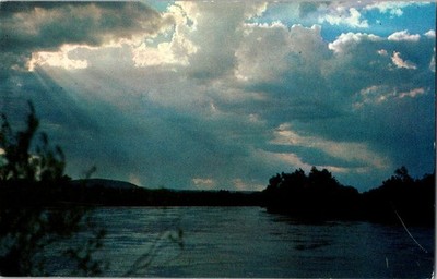 The Mighty Rio Grande River Colorado New Mexico Unposted Chrome Postcard
