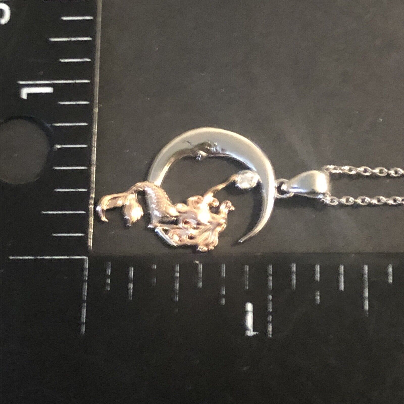 Picture 4 of 5